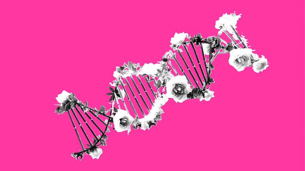 DNA how to innovate