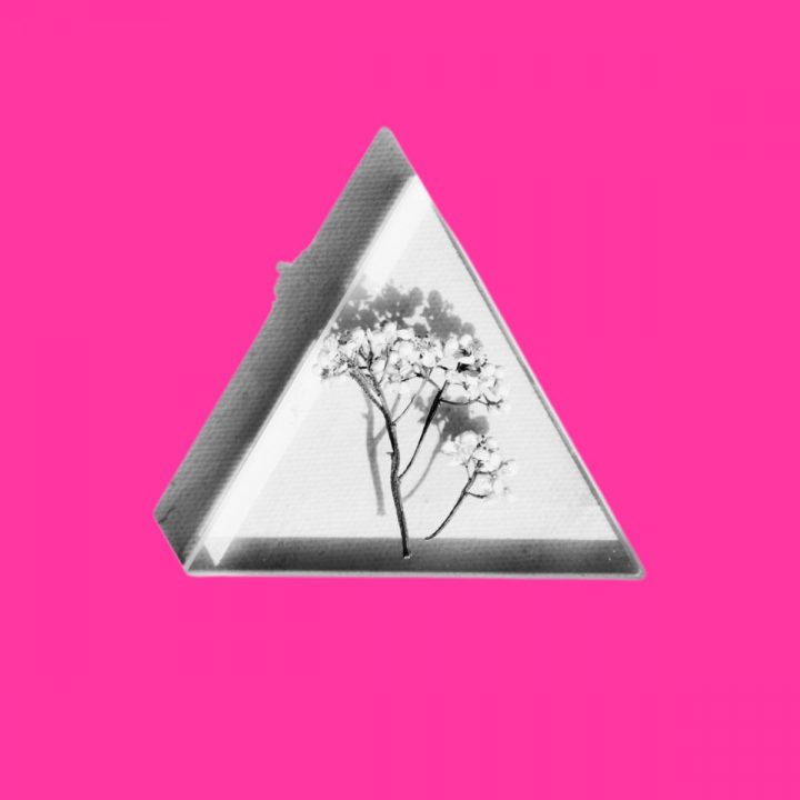 Designing the perfect proposition: Compelling, unique and authentic